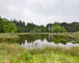 eeuwige-rust-geld-natuur