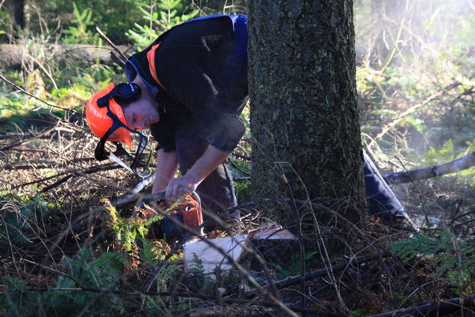 nauwkeurig en selectief bosbeheer