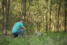 Natuurbegraafplaatsen Nederland in opkomst