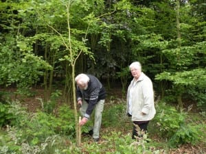 Foto-fam.-Biesbroek