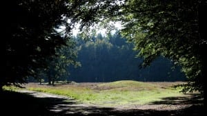 Grafheuvels op Heidehof