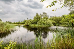 Hillig Meer