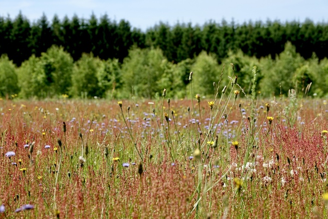 Natuurgraafplaats Hillig Meer op de POSO Lifestyle beurs